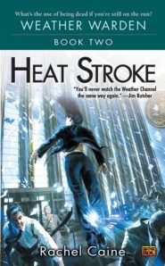 Heat Stroke Cover