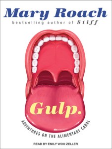 Gulp Cover