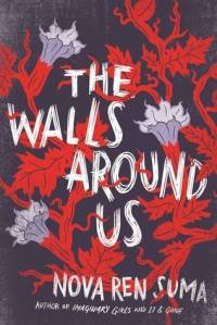The Walls Around Us Cover