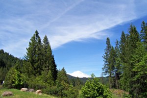 Mt Shasta