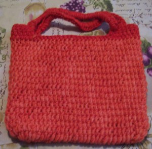 June 2016 Purse Pre-Felted