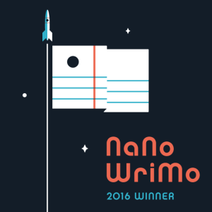 nano-2016-winner